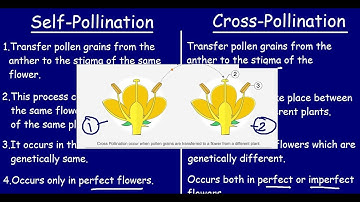 Self Pollination and Cross Pollination |Quick 5 min Differences & Comparisons|