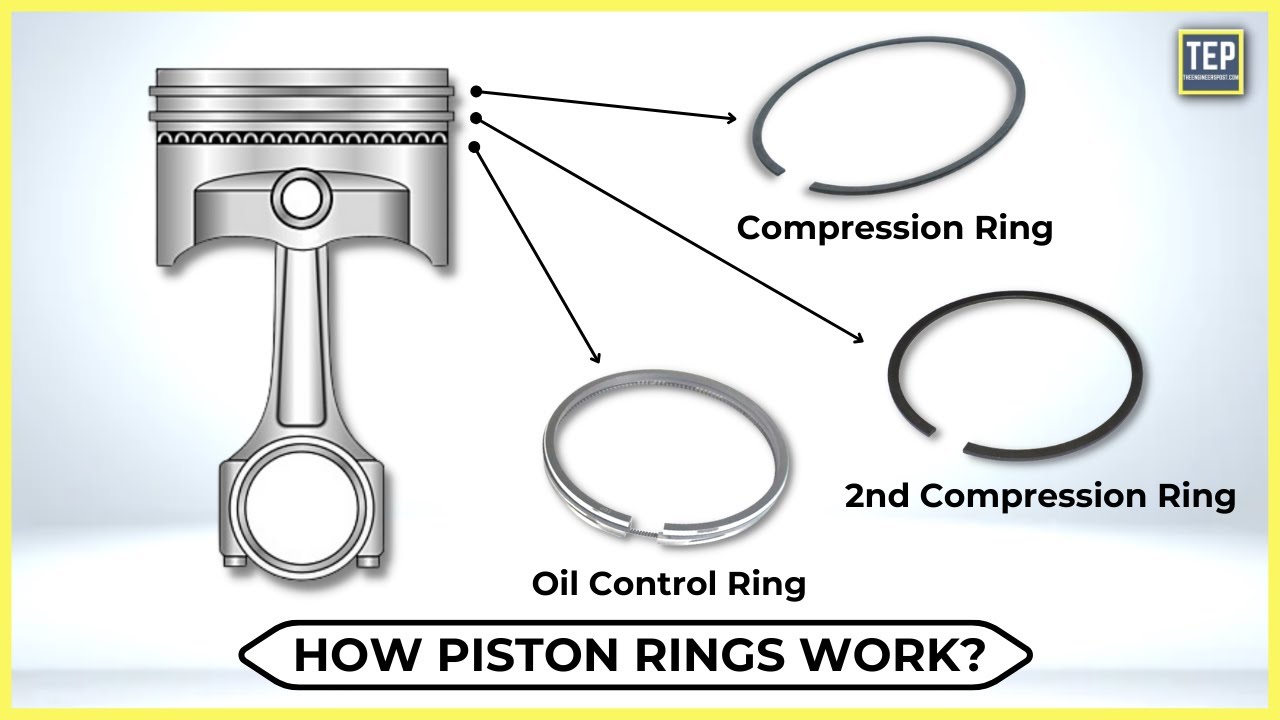 Piston Rings | Types | Oil Ring,Oil Scraper Ring,Compression Ring |  ENGINEERING STUDY MATERIALS - YouTube