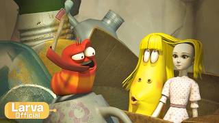 hair animation compilation larva tuba official