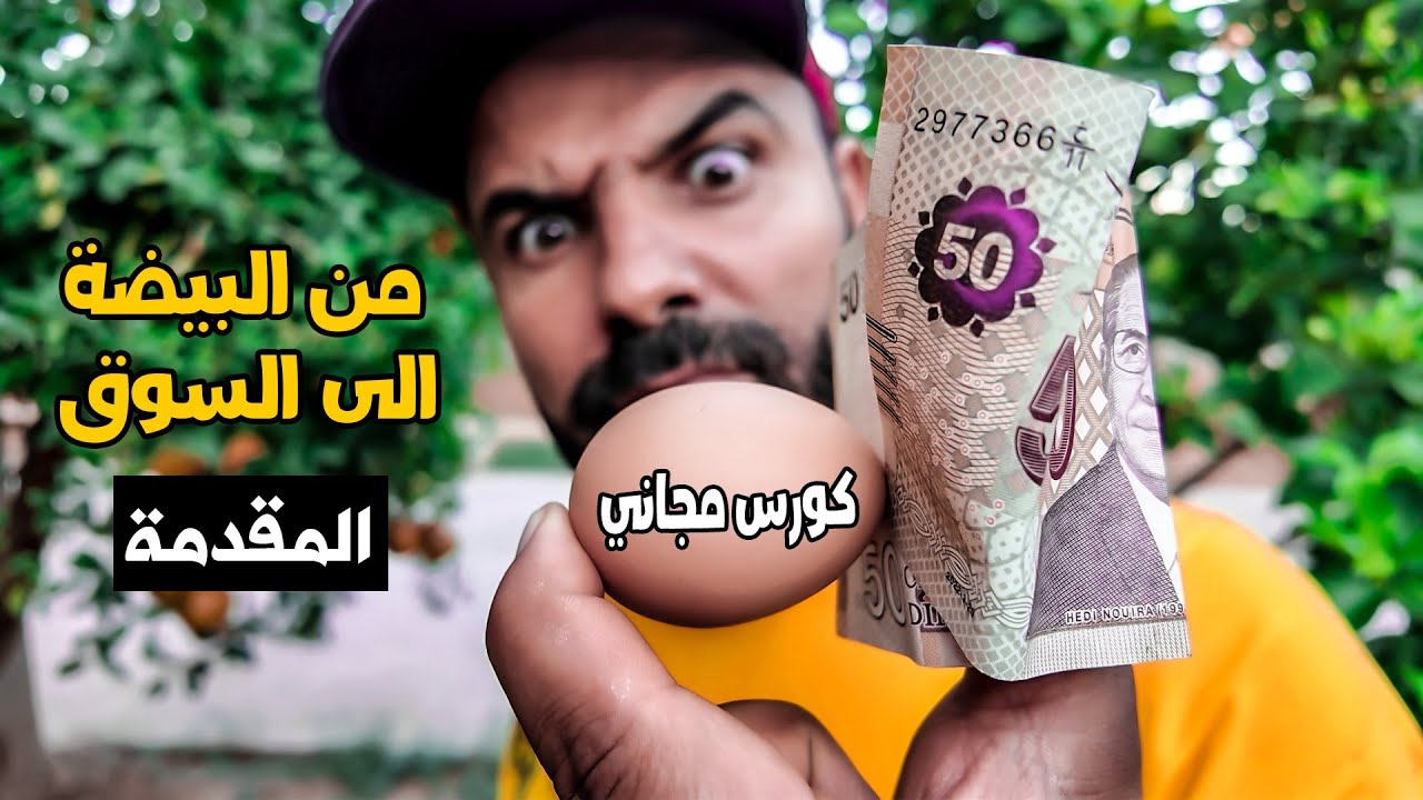 الحلقة 1 | مقدمة كورس تربية الدجاج – من البيضة إلى السوق 🐣🐔