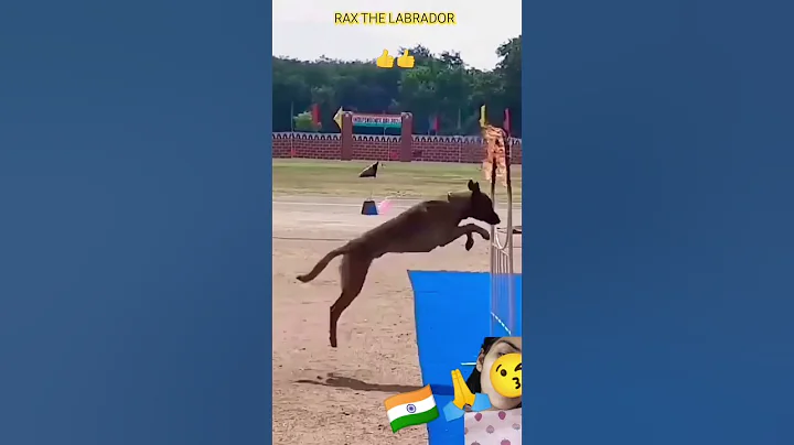 Always Respect soldiers🇮🇳 || Indian army🔥 || #shorts #ytshorts #respect #indianarmy