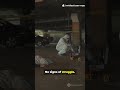 She Walked Into a Chicago Parking Garage and Was Found Dead on the Rooftop 3 Weeks Later - How?