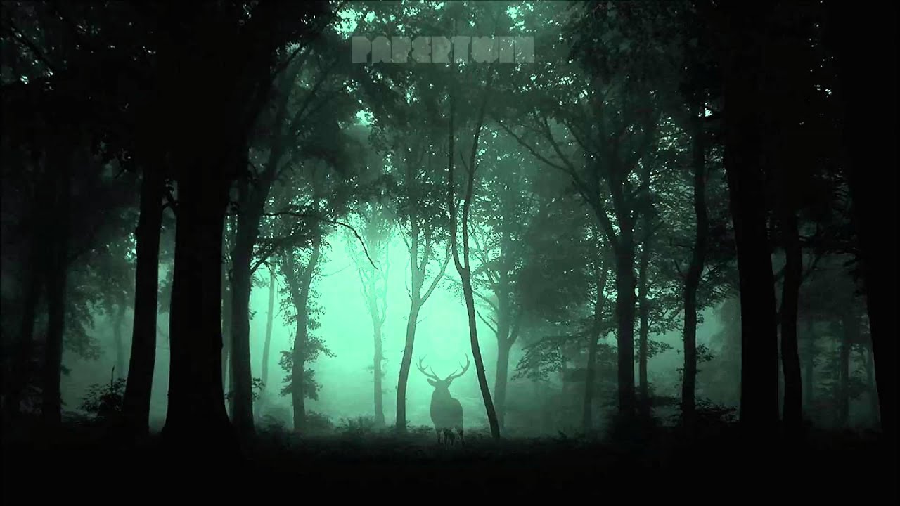 YouTube에서 Papertwin - Headlights 보기 YouTube에서 Papertwin - Headlights 보기