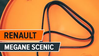 Cum se montare Curea alternator RENAULT SCÉNIC 2022 - tutoriale