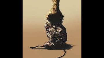 D5 - Aniball - Life into blankness | Everywhere in the Death of the Planet: Definitive Edition