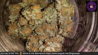 🔞 🔴LIVE **smoke sesh with GingaSnapz. cheers