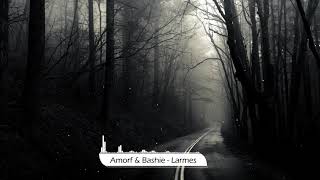 Amorf & Bashie - Larmes [8D] Resimi