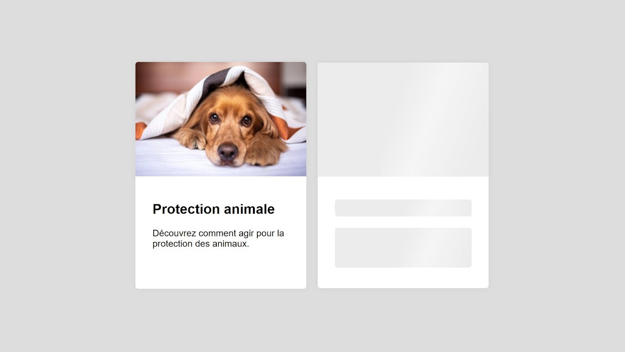 Ajouter un effet de “chargement” pendant un appel AJAX - (Facile - HTML et CSS)