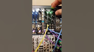 Modular Patch Notes - beautiful reverb from Noise Engineering Versio range #shorts