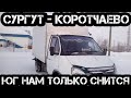 Сургут - Коротчаево. Работа на Газели. Без ответственный сервис,  дорога на Уренгой. #98