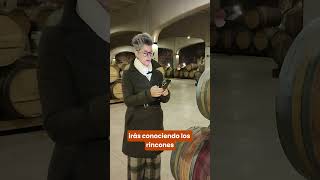 ¿Vino en Rioja sin reserva? 🍷 ¡Planazo "A tu ritmo"!