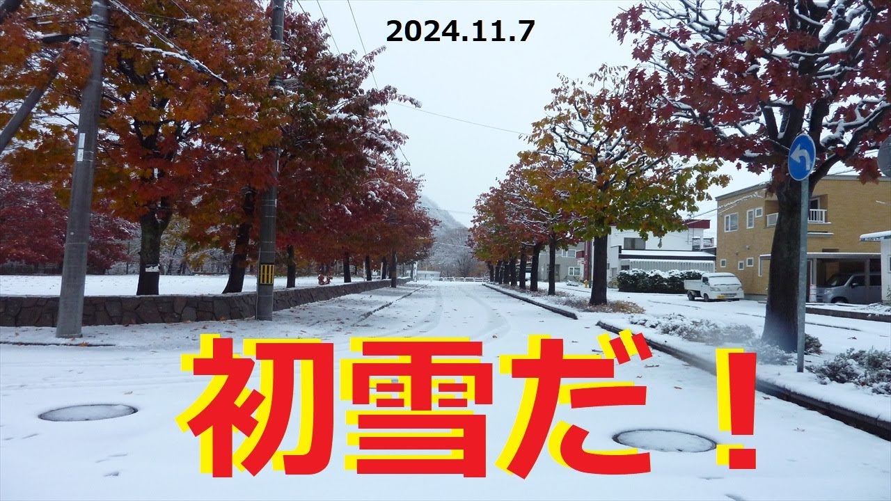 初雪 初雪】初雪だ ! (2024.11.7) - YouTube
