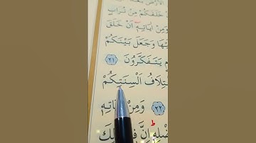 سورة الروم الأية 21 إلى 23 القارئ سعد الغامدي