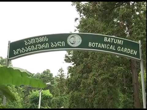 შსს ს სამსახურეობრივი მოვალეობის შესრულების დროს დაღუპული თანამშრომლების ოჯახები ჩერნოვეცკის საქველმ