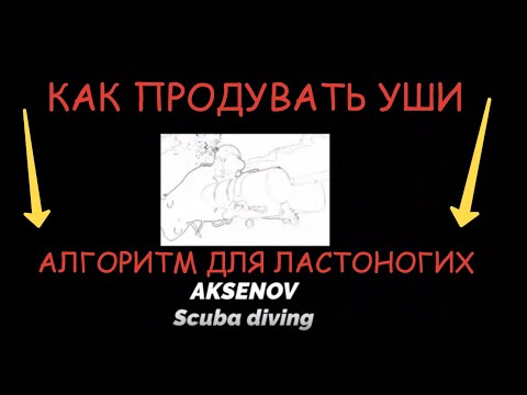ПРОДУВКА УШЕЙ! Алгоритм действий для дайверов.