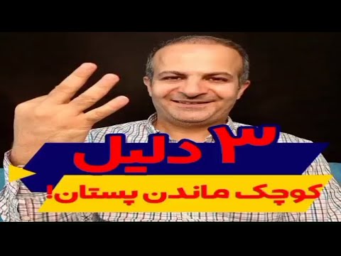 تصویری: آیا پرزها منافذ کوچکی دارند؟