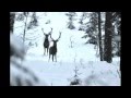 Domek w Karkonoszach ale z kieleckim zakończeniem