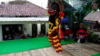 🔵LEWAT ANGIN WENGI Jaranan PUTRO BUDOYO Live Wonorejo Ngantang malang