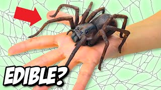 This Spider is Actually a CAKE!