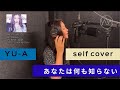 (一発録り)あなたは何も知らない-Self cover-