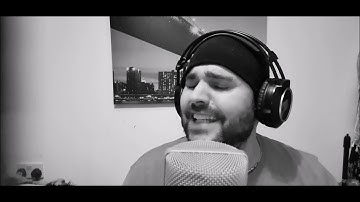 Meatloaf cover - objects in the rear view mirror - Jamie Lee Lewis