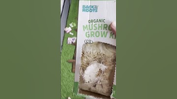 GROW A GARDEN IN REAL LIFE