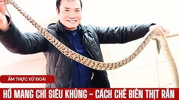 THỊT RẮN - CÁCH CHẾ BIẾN MÓN NGON TỪ THỊT RẮN - RẮN HẤP, RẮN XÀO XẢ ỚT, CHẢ RẮN, CHÁO RẮN