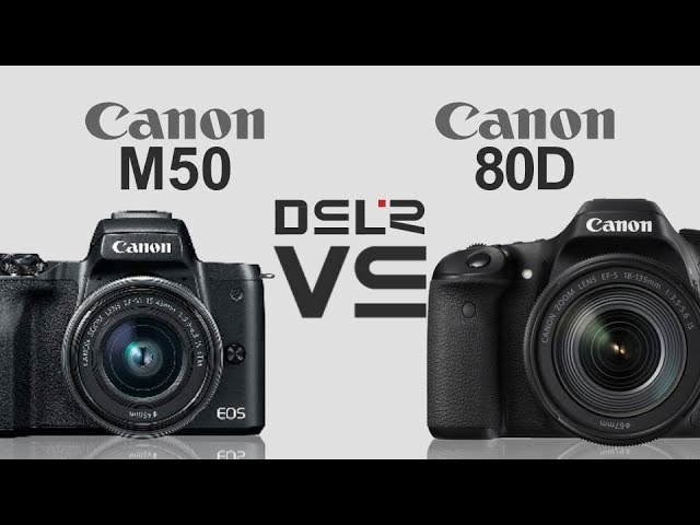 Aan de overkant zwanger Bakken Canon EOS M50 (Kiss M) vs Canon EOS 80D - YouTube