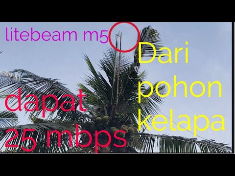litebeam m5#nembak wifi jarak 5 km dari pohon kelapa - YouTube