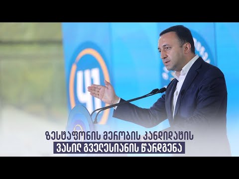 ზესტაფონის მერობის კანდიდატის ვასილ გველესიანის წარდგენა