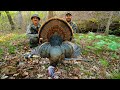 PUBLIC LAND TURKEY HUNTING in a Missouri Creek Bottom!