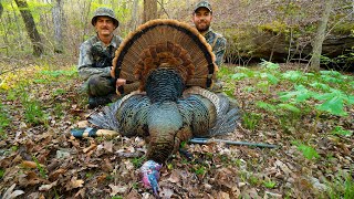 PUBLIC LAND TURKEY HUNTING in a Missouri Creek Bottom!