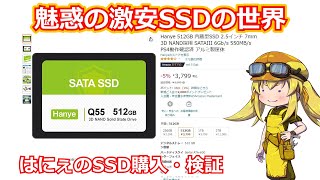 【激安SSD】魅惑の激安SSDの世界への誘い。数千円で購入できる中華SSDの実力と魅力に迫る！はにぇ編【Hanye】