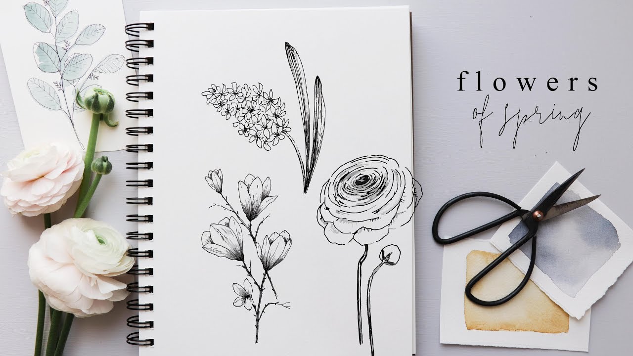 How To Draw Flowers Step By Step Hyacinth Magnolia And Ranunculus