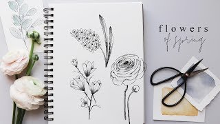How to Draw Flowers | Step By Step Hyacinth, Magnolia and Ranunculus