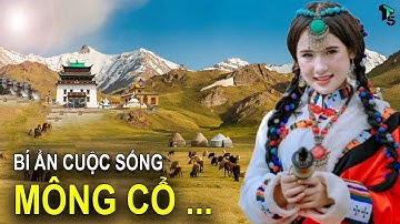 Đây Là Cuộc Sống Ở Mông Cổ - Quốc Gia Kỳ Lạ Nhất Thế Giới? | T - TOP5