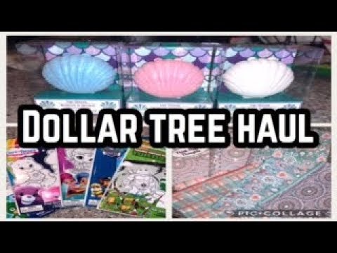 Dollar Tree Haul | New Finds | Lip Gloss Makeup Bags Food & More!! - YouTube