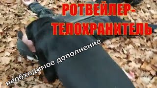 РОТВЕЙЛЕР-ТЕЛОХРАНИТЕЛЬ.Продолжая тему