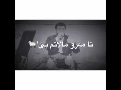 آوات بوکانی