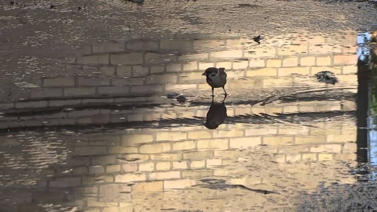 Кончился дождь - YouTube