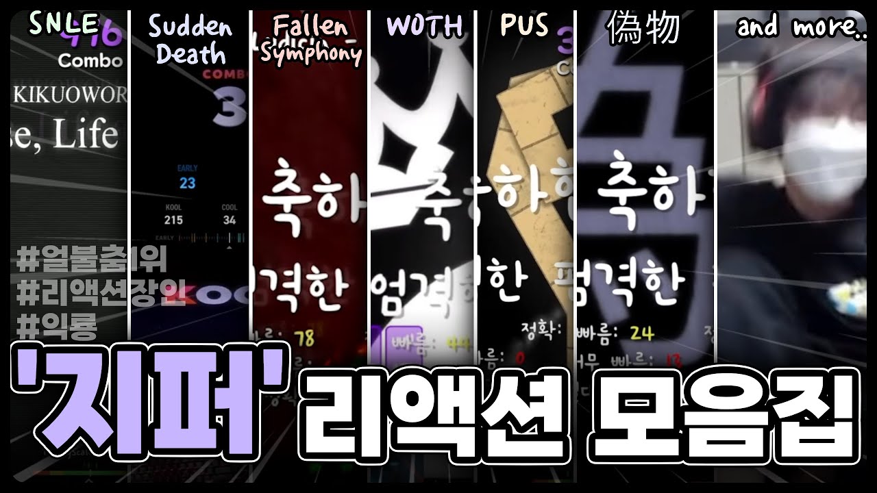 음악으로 알아보는 지퍼 리액션 모음