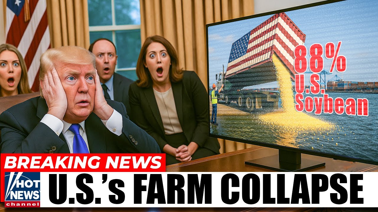 BREAKING: U.S.’s Farm System COLLAPSE - 88% of U.S. Soybean Exports Just Disappeared