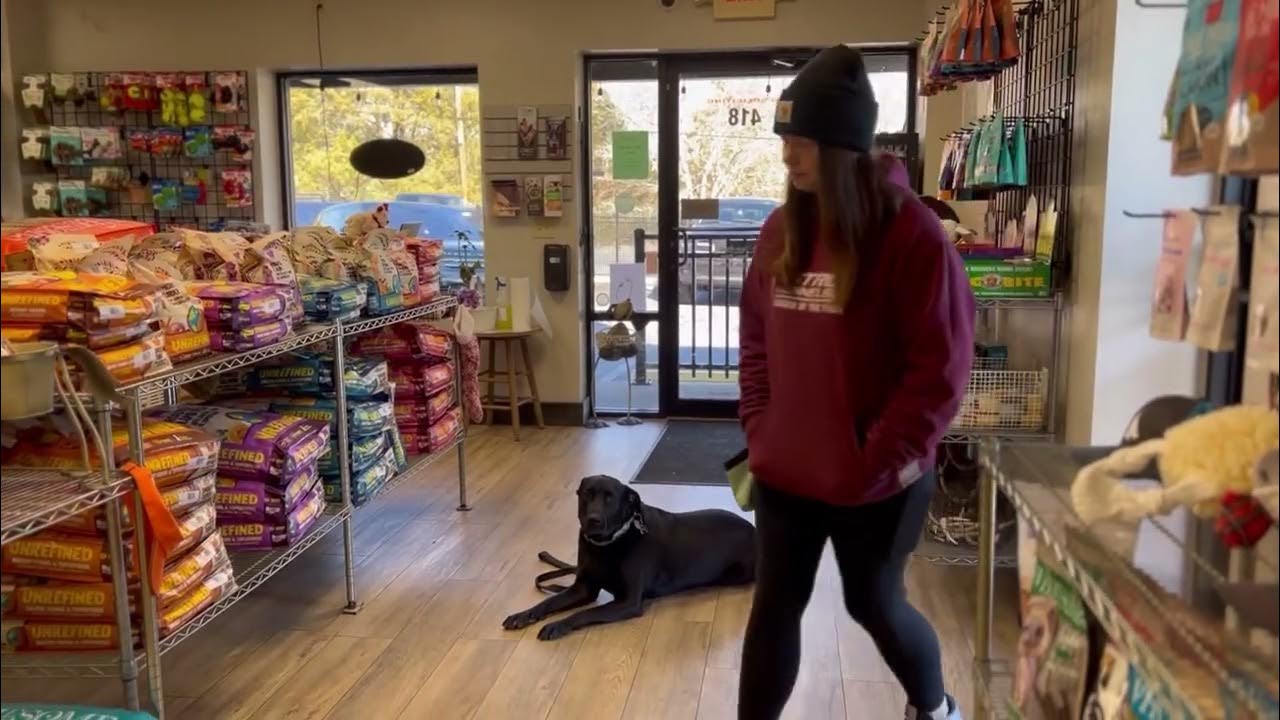 Astro Kennels winter Training Camp ‘22 Day 2 & 3 YouTube