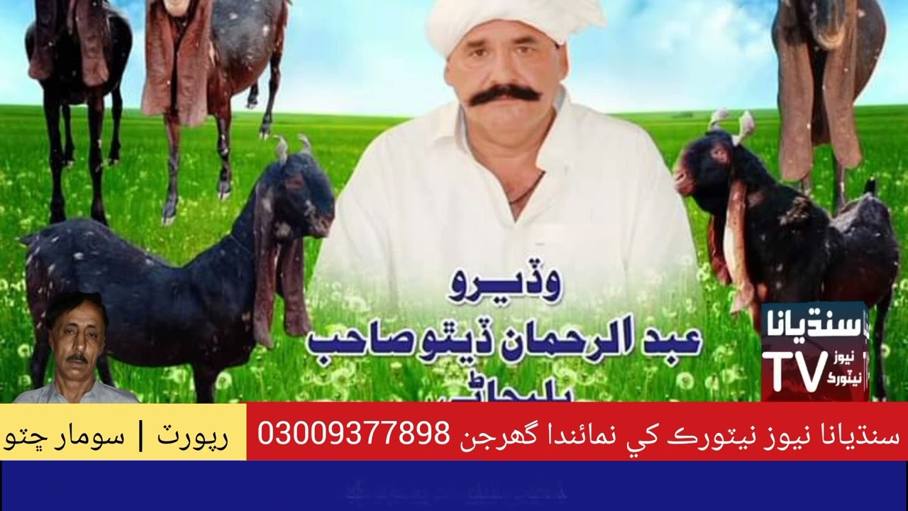 پارس گھوڙي جو مالڪ غريبن ء يتيمن جو سھارو وڏيرو عبدالرحمان ڏيٿو