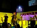 Havanero-常夏フェスティバル-1