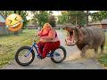Funniest Fails of Today 😂 Viral Moments &amp; Instant Regret Caught on Camera | Try Not To Laugh 2026