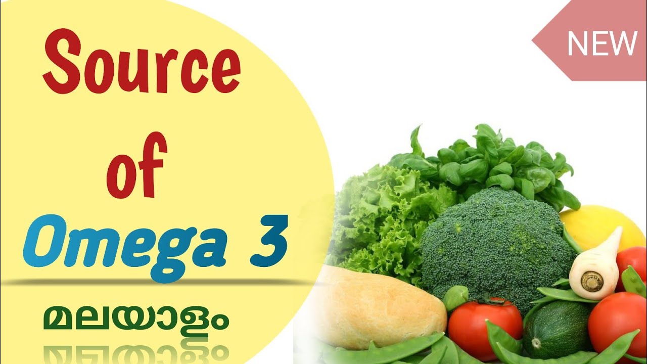 Source of Omega 3 Malayalam FACT123 fauna YouTube