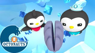 Octonauts - La grande course des pingouins | Dessins animés pour enfants