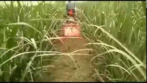 Kubota NeoStar A211N (Mini Tractor )  Tractor for sugarcane inter cultivation