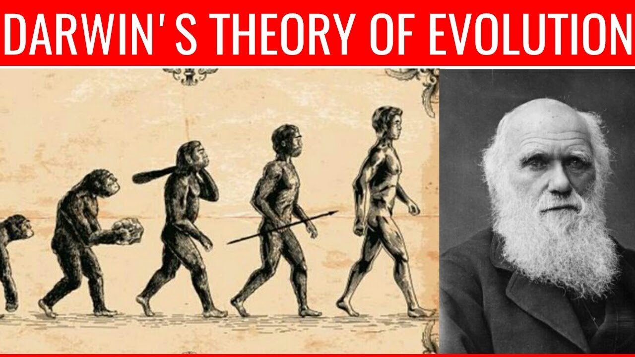 Darwin s Theory Of Evolution CHARLES DARWIN TAMIL PAARTHASARATHY darwin-s-theory-of-evolution-charles-darwin-tamil-paarthasarathy